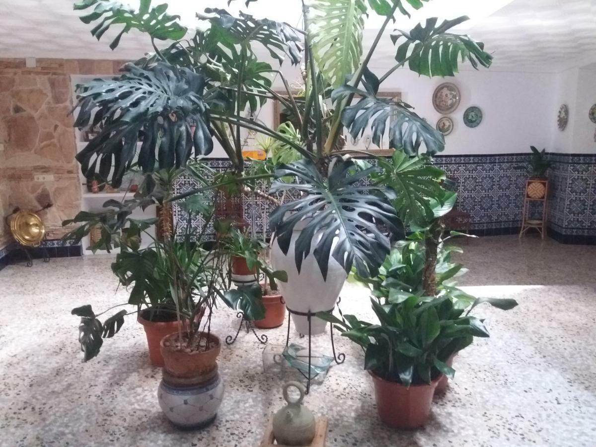 Casa Labradora Apartment Herencia Luaran gambar